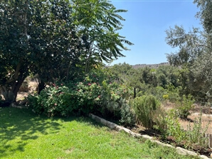 צימר קטיף השדה