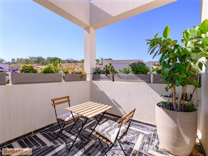 אירוס ירוחם