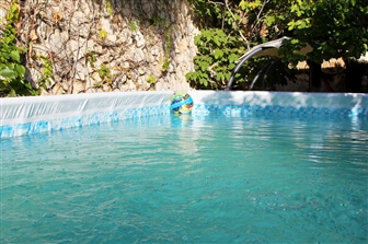 נועם המרגלית נועם המרגלית