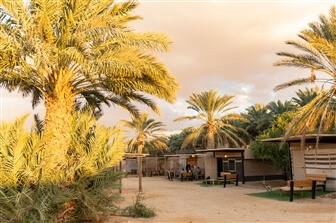 ראס השיטה ראס השיטה